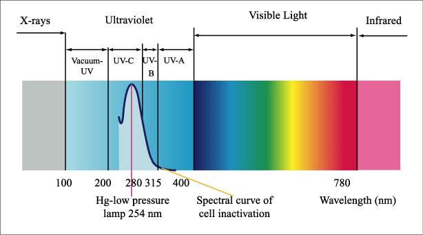 紫外光对织物的影响程度(紫外光对织物有何影响)