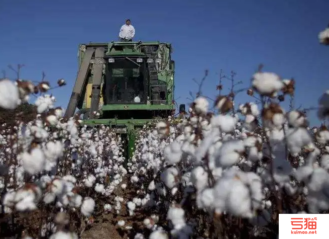 SIMA呼吁印度政府免除11%棉花进口税