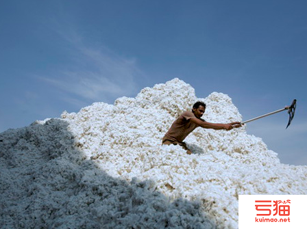 新年度新规范 印度棉包“内涵”要升级？
