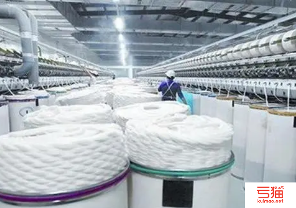全国政协委员梁勇：推动建立上合组织棉花共同市场