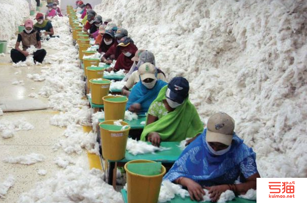 印度：新棉种植即将开始 下年度产量看增