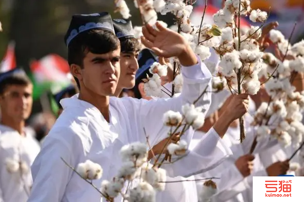 1月塔吉克斯坦纺织原料及其制品出口额同比减少35.4%
