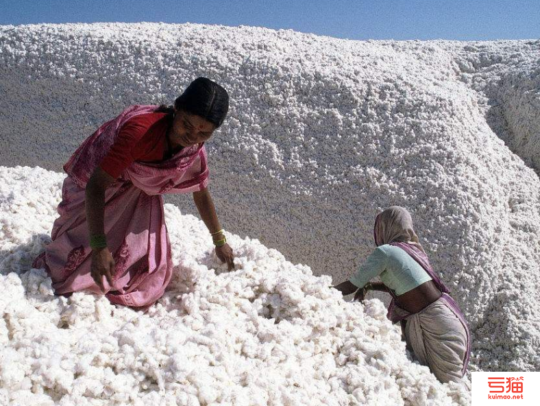 棉纱交易未受印度预算长期条款影响