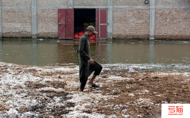 巴基斯坦洪水余波未了 棉纺产业受损难估量