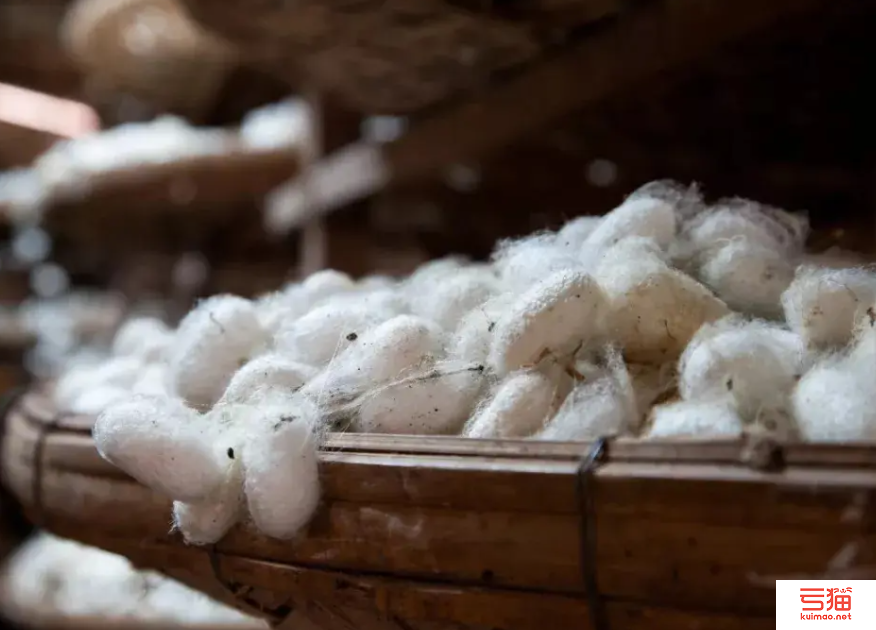 四川茧丝绸行业3名企业家评为“全国百强乡土人才”