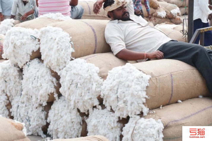 印度新棉上市进度低于预期 棉花价格或持续偏高