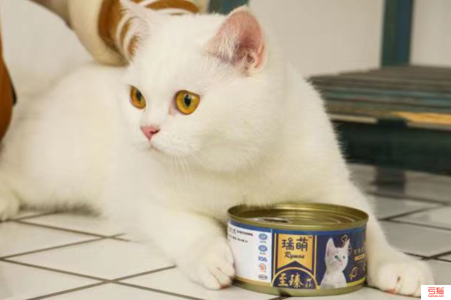 什么牌子的猫罐头比较好-最好的猫罐头十大品牌排行