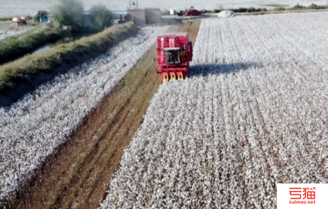 740万亩棉花陆续成熟 1100余台采棉机棉海展风采