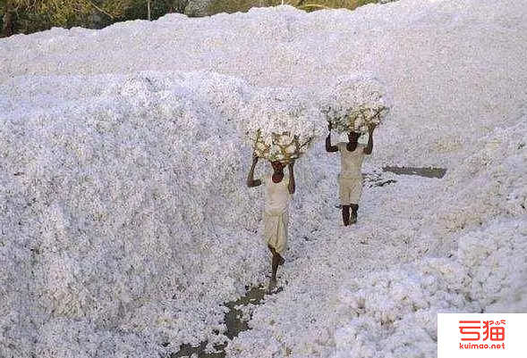 印度南部棉纱价格上涨 需求疲弱