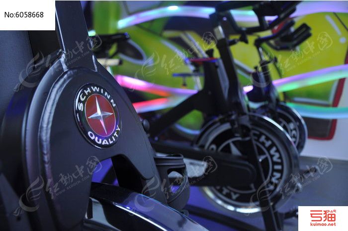 中国十大动感单车品牌-国产动感单车十大品牌排名